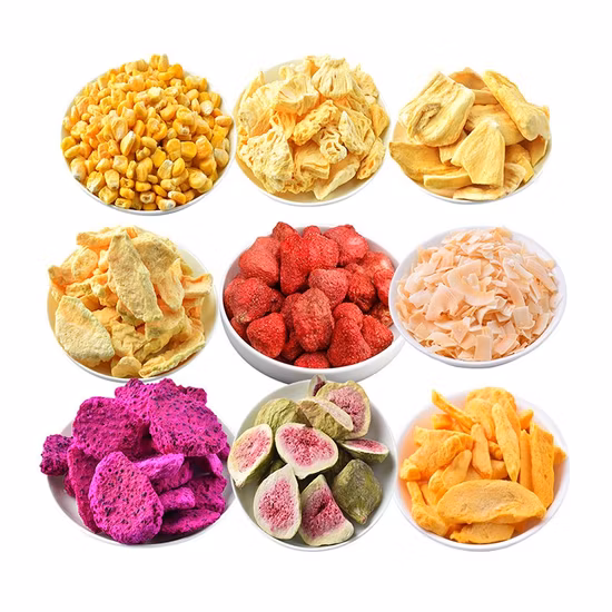 Inicio Liofilizador de alimentos al vacío Liofilizador Precio Fruta Mini Vegetal Máquina de secado por congelación Secador por congelación con CE probado